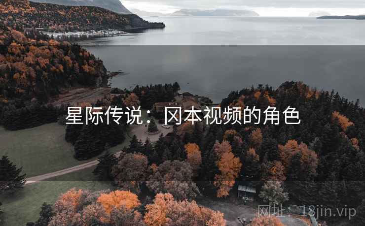 星际传说：冈本视频的角色